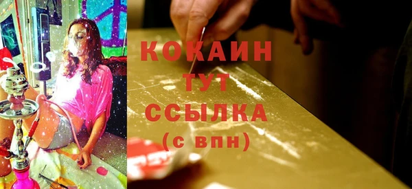 apvp Богородицк