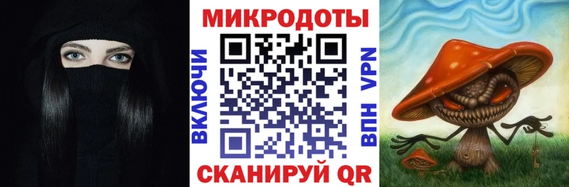Галлюциногенные грибы Cubensis сколько стоит Михайлов